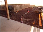 More blowling ball yard art