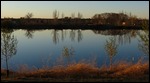 Great reflections