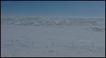 White everywhere