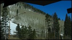 No leaves for the Aspen yet