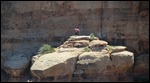 Climber on Independence Monument