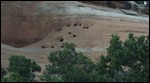Weep holes where water comes out