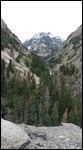 Looking up at the Uncompahgre River