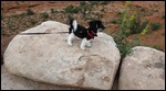 our rock climber