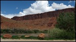 Entrada Sandstone