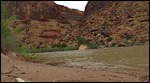 Looking downriver from ground level