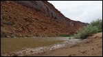 Looking upriver from ground level