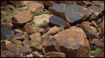 Varnished rocks closeup