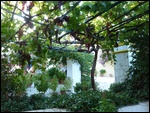 The Cloister gardens were beautiful