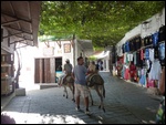 Donkeys have right of way in the narrow streets