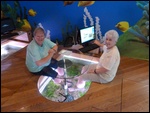 In the Fish Spa