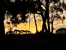 A lovely sunrise