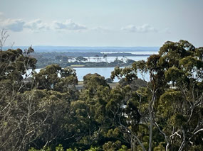 Looking out across the lakes