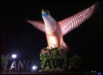Giant Sea Eagle