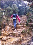 The climb!