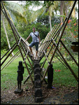 Bamboo Bridge