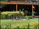 Cat Statues