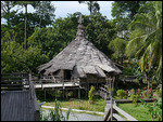 Traditional houses