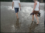 Wading through the mud