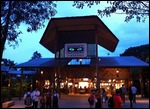 Night Safari
