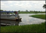 Croc spotting at Yellow Water