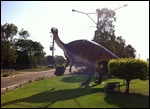 Dinosaur spotting