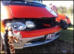 Melman assessing the damage