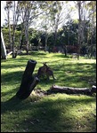 Rockhampton Zoo
