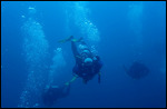 Yongala Dive