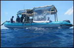 Yongala Dive