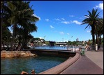 Brisbane Lagoon