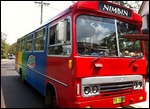 Nimbin bus