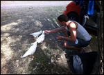 Feed the birds!