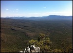 Reed Lookout