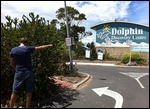 Matt dolphin spotting!