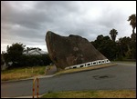 Dog Rock