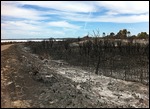 Bush Fire Destruction!