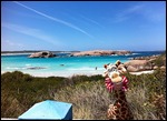 Melman @ Twilight Beach