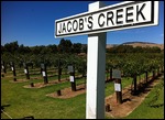 Jacob's Creek winery