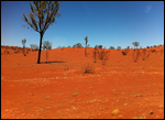 Welcome to the Red Centre!