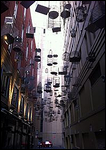 Bird Cage Alley