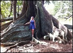 Laurs playing amongst the giant roots!