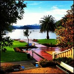 Picton