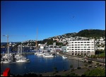 Wellington harbour