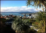 Wellington