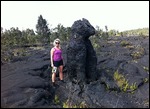 Laurs and a lava tree