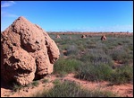 Termite mounds