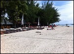 Gili T