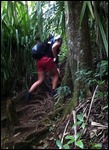 Laurs is off!
