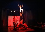 Impressive circus acts
